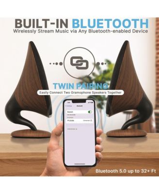 Portable Wireless BT Streaming Gramophone Speaker with Subwoofer, Oak Finish