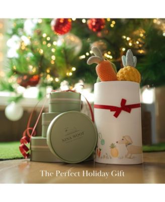 Dog Toy Veggie Bundle