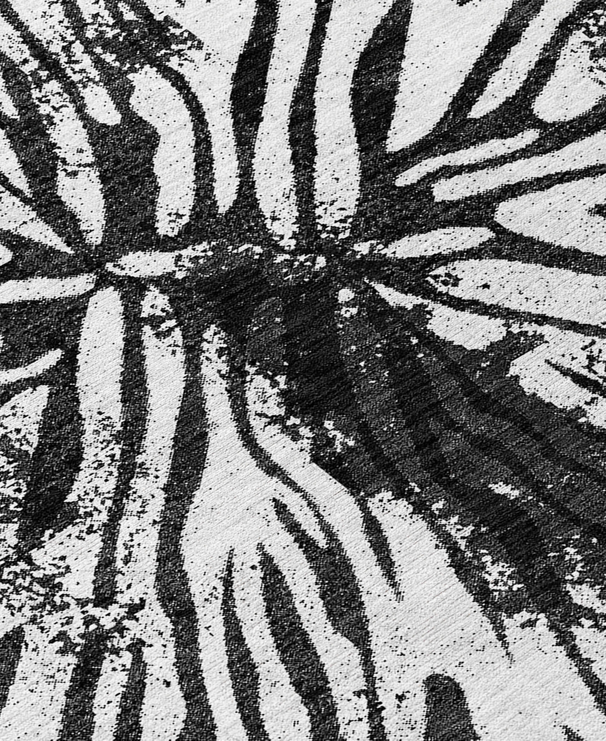 Addison Chantille Machine Washable Acn818 3'x5' Area Rug In Black