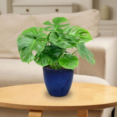 Resort High-Fired Outdoor/Indoor Glazed UV and Frost-Resistant 2-Pack Ceramic Planters with Drainage Holes