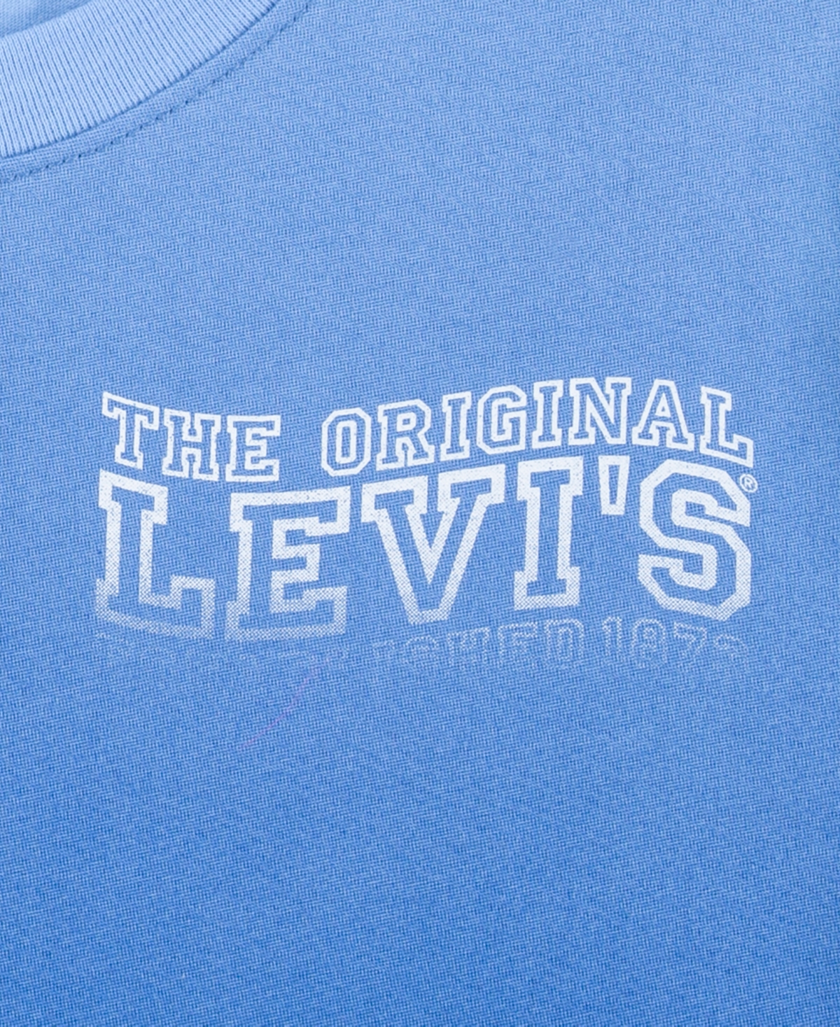 Levi's Big Boys Wavy Logo T-Shirt