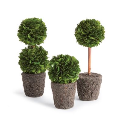 Napa Home & Garden