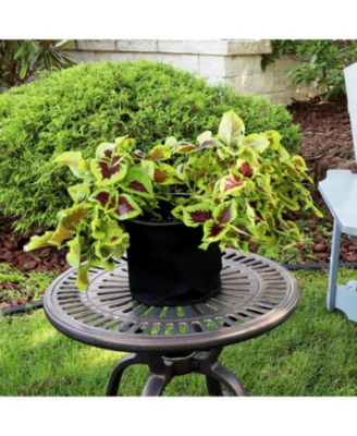 Garden Grow Bag with Handles Nonwoven Polypropylene Fabric, Black, 5pc