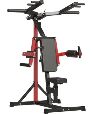 ER KANG Deltoid and Shoulder Press Machine, Lateral Raise Machine with ...