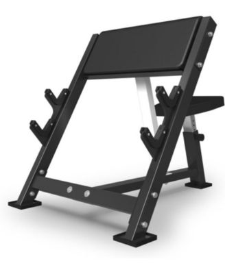 Preacher Curl Bench, Seated Arm Isolated Barbell Dumbbell Bicep Station, Bicep Curl Machine with 2 Bar Holders for Home Gym