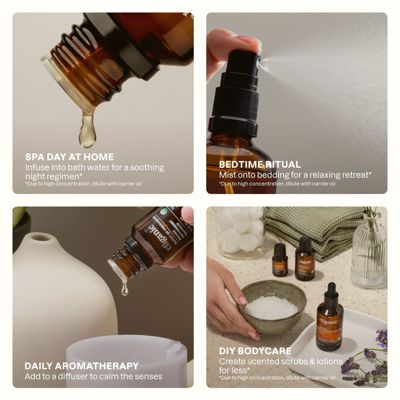 Sleep Surrender Essential Oil Blend