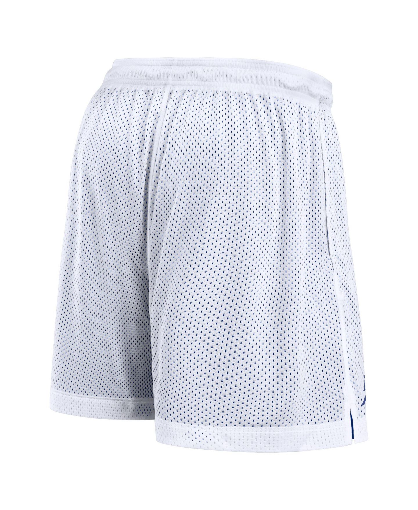 Мужские шорты Jordan White/Royal Florida Gators Primetime Reversible — фото 5