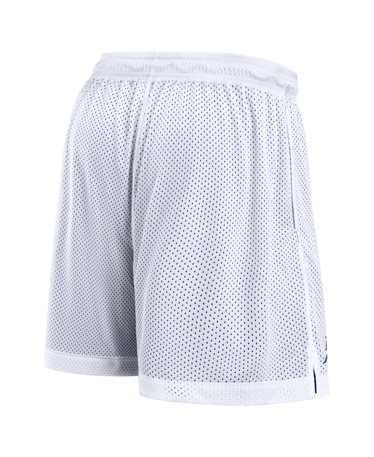 JORDAN MEN'S WHITE/ROYAL FLORIDA GATORS PRIMETIME REVERSIBLE SHORTS 