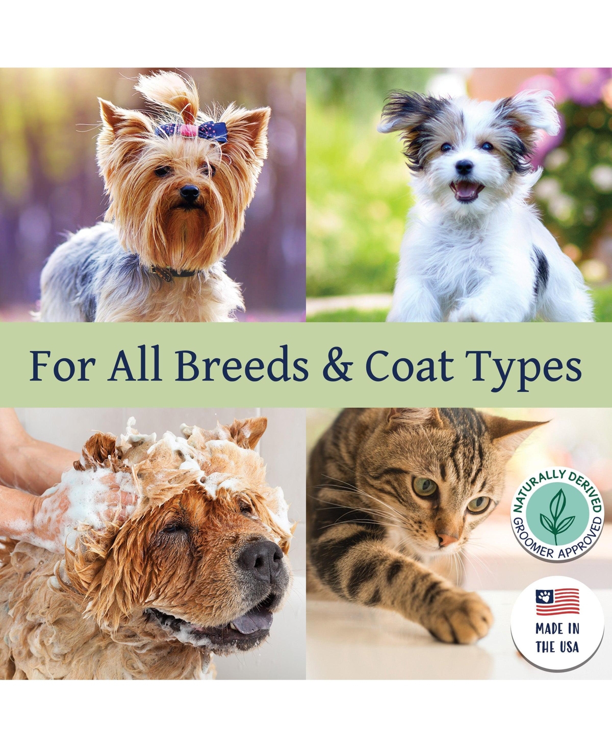 Bobbi Panter (Botanical) Refreshing Dog Shampoo Eucalyptus Oil, Mint Oil, Oil Oat, Chamomile, Rosemary, Aloe Vera