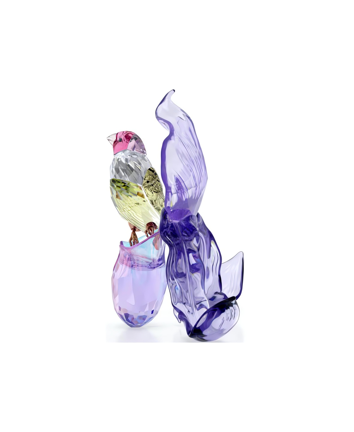 Swarovski Idyllia Gouldian Finch And Orchid Figurine In Purple