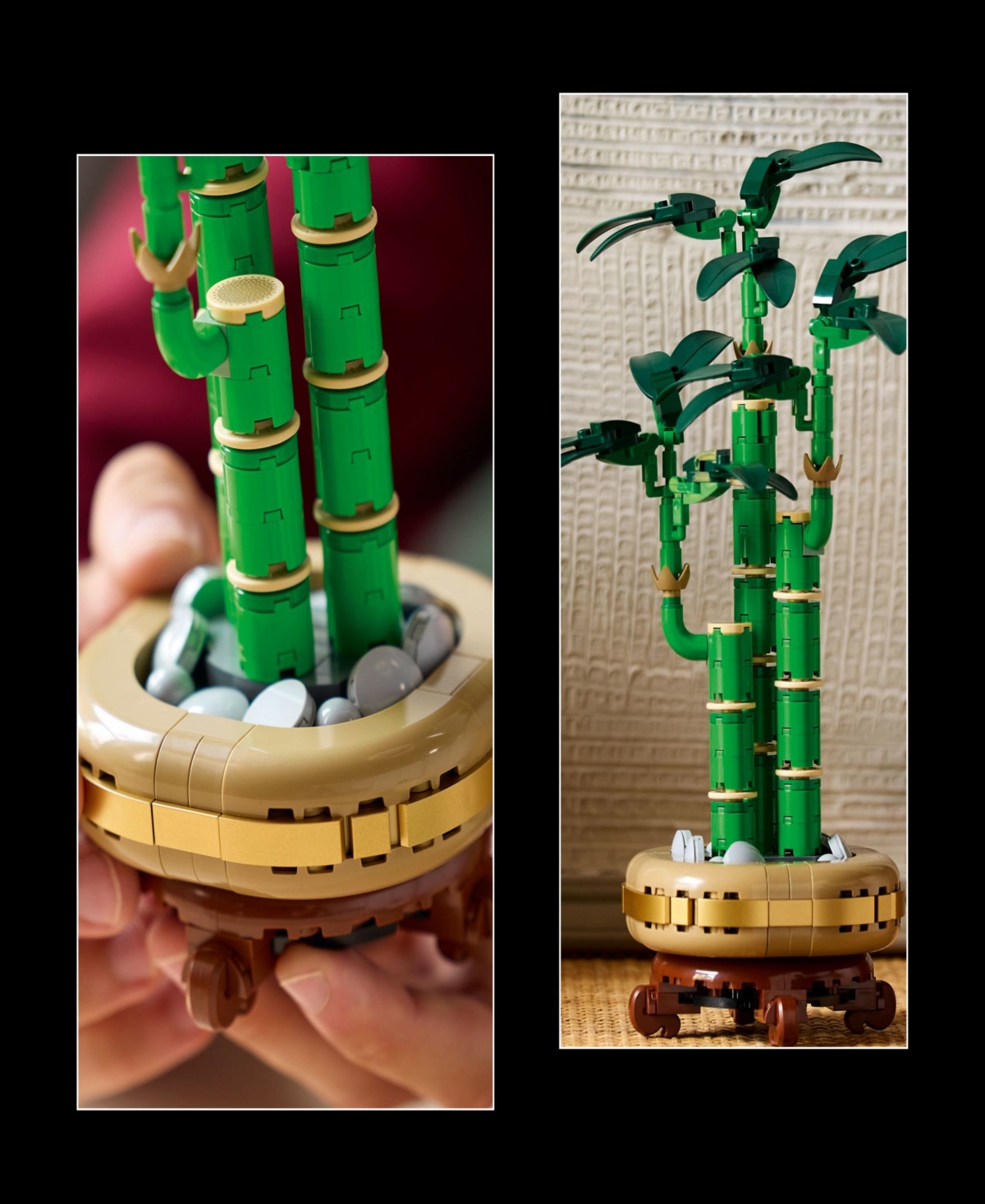 Lego Botanicals Lucky Bamboo Building Set 10344, 325 Pieces In Multi Color