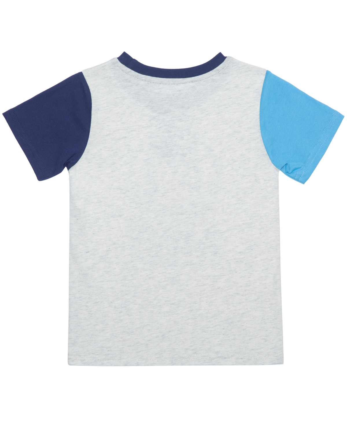 Bluey Toddler Boys 2-piece Graphic T-shirt And Shorts Set In Oatmeal Heather