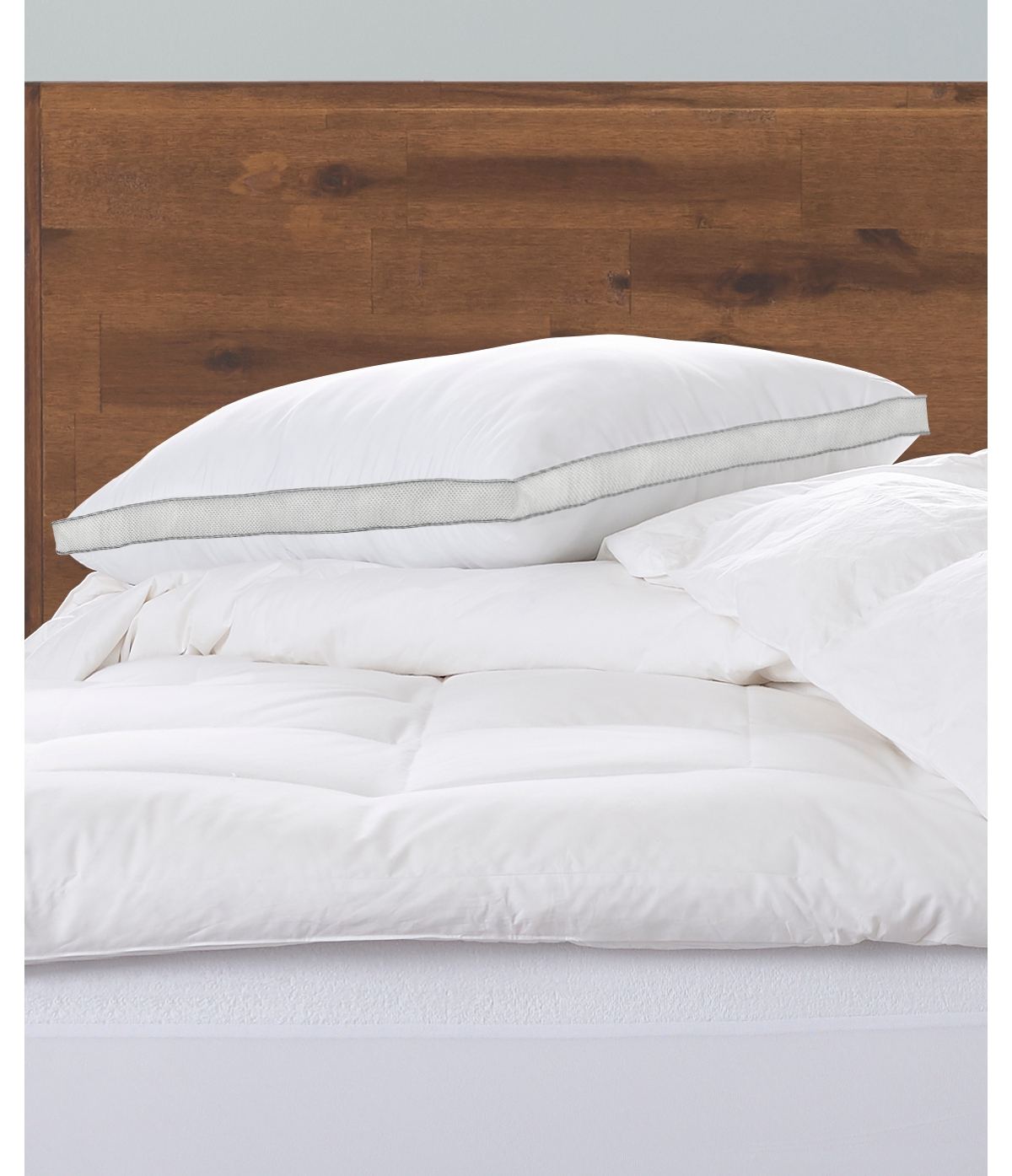 Ella Jayne Cotton Mesh Gusseted Medium Density Pillow, Standard