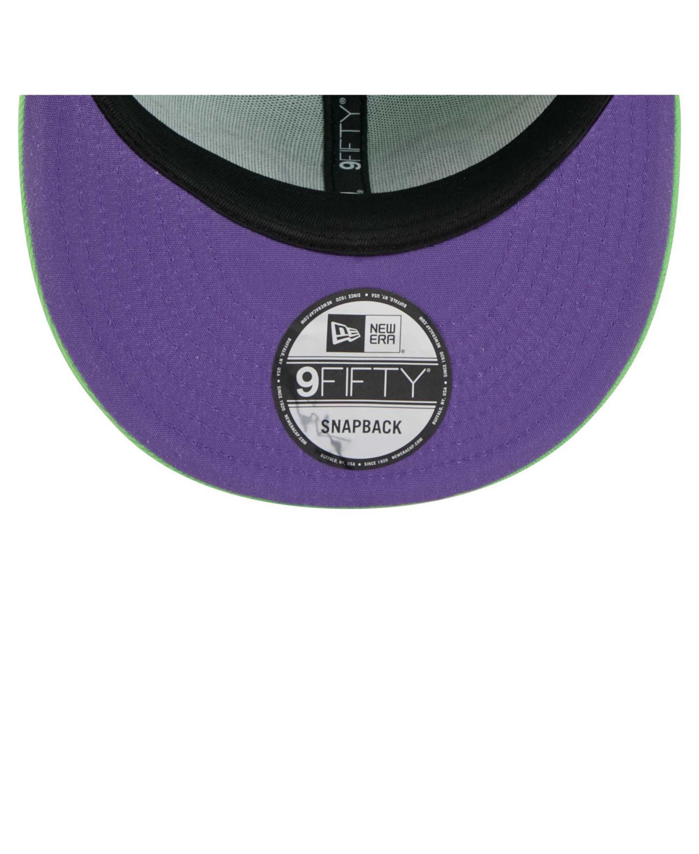 Мужская кепка New Era Green Teenage Mutant Ninja Turtles Donatello 9Fifty Snapback Hat — фото 2