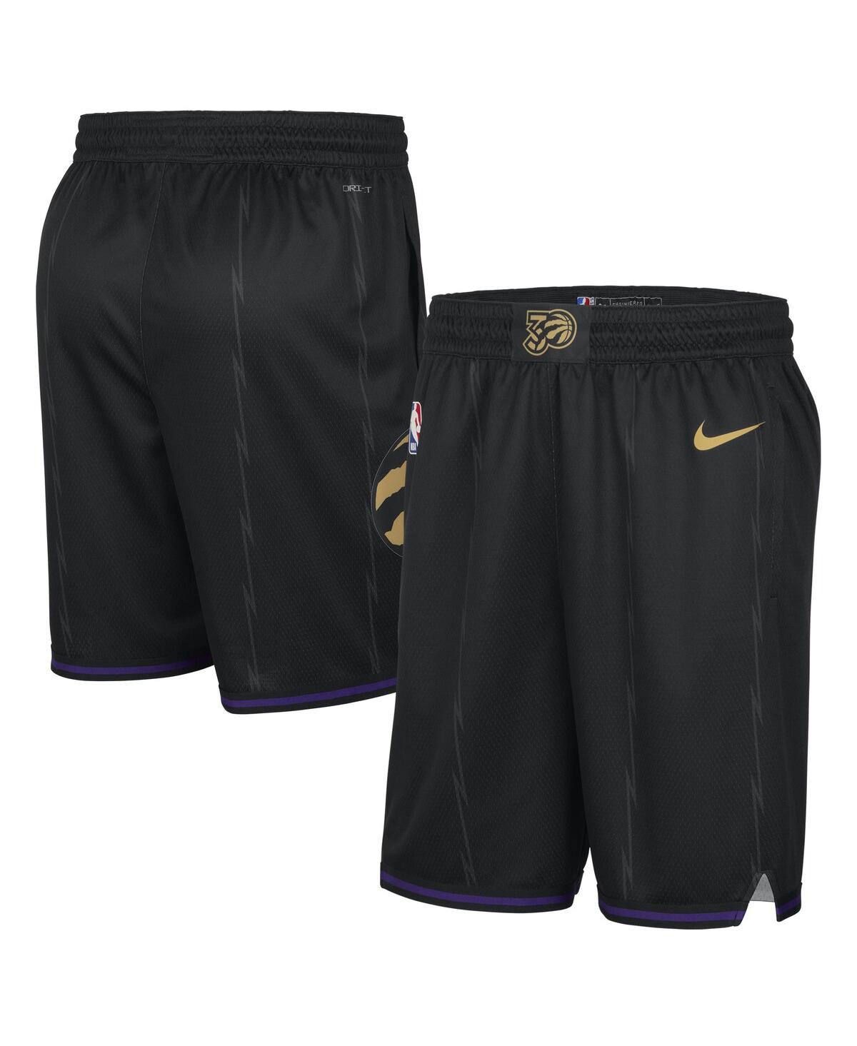 Nike Men's Black Toronto Raptors 2024/25 City Edition Swingman Shorts In Black
