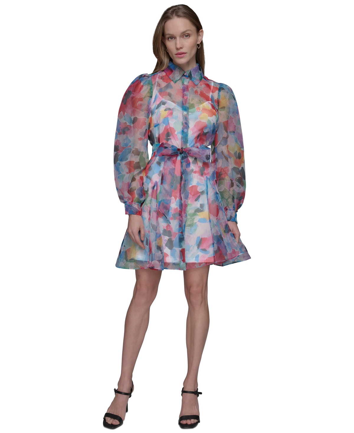 Women's Printed Organza Tie-Waist Dress - Sf Wt/bl H