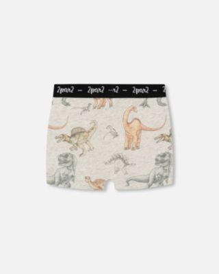 Boy Printed Cotton Boxer Shorts Dinosaur On Mottled And Tan Background - Toddler|Child