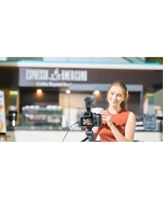 Sony Alpha a7 IV Mirrorless Camera