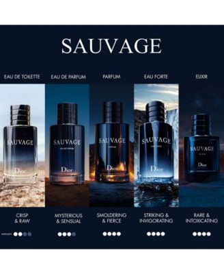 DIOR Men's Sauvage Elixir Spray, 3.4 oz. - Macy's