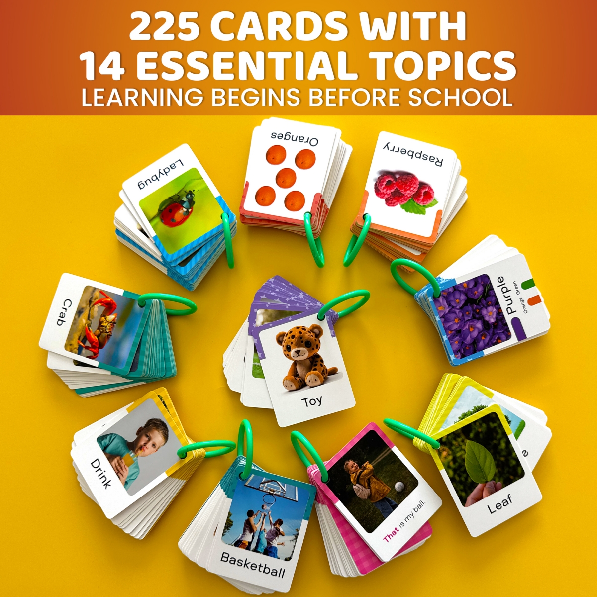 Quokka Abc Learning Flash Cards for Toddlers 2-4 Years Old
