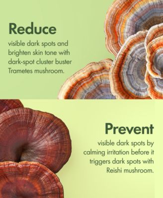 Mega-Mushroom Dark Spot Brightening Serum