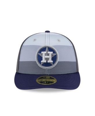 Men's Gray/Navy Houston Astros 2025 Batting Practice Low Profile 59FIFTY Fitted Hat