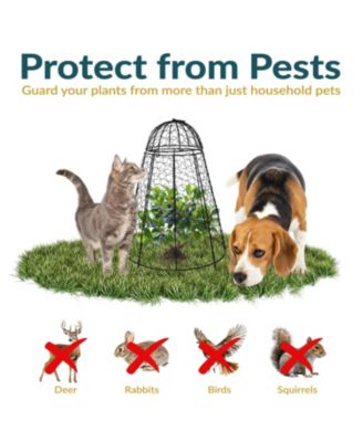 Chicken Wire Plant Protector Cage - Garden Cloche with Removable Cover - 6 Pack - Protects from Rabbits and Animals