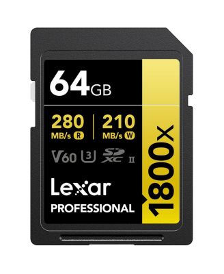 LUMIX G9II Mirrorless Camera, Bundle with Lexar 64GB Memory Card, Battery, Plate, Smart Charger Base