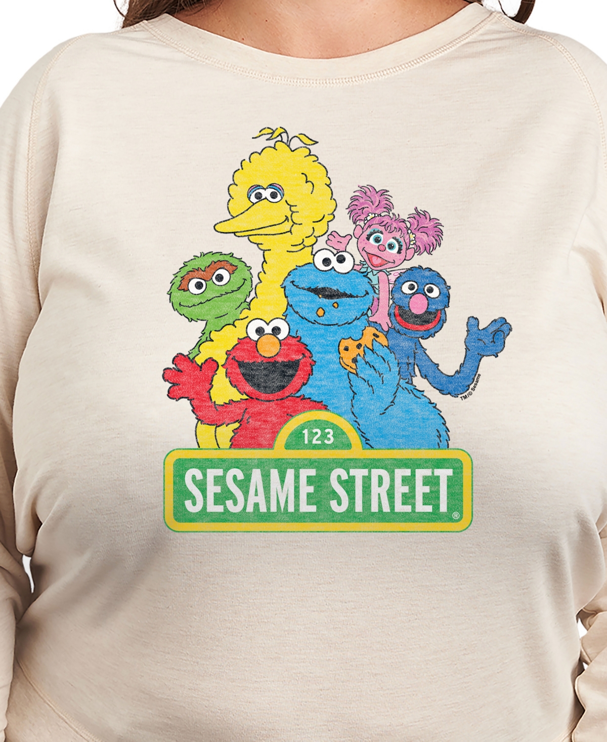 Hybrid Apparel Plus Size Sesame Street Group Graphic Pullover T-shirt In Beige,khaki