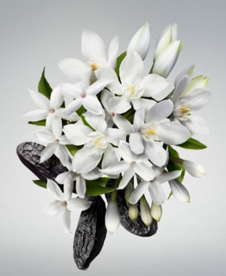 3-Pc. Good Girl Eau de Parfum Gift Set