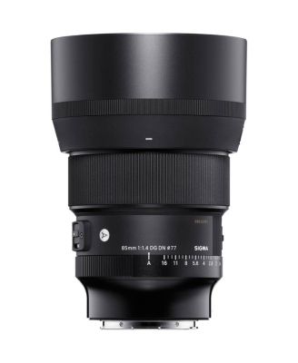 85mm f/1.4 DG DN Art Lens for Sony E