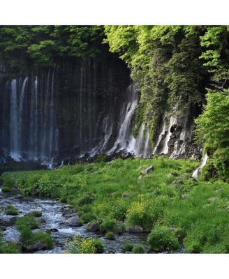 NIKKOR Z 70-180mm f/2.8 Lens