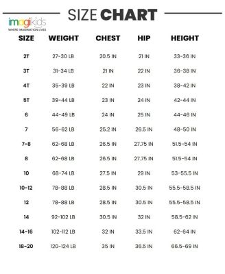 Toddler Boys DC Comics Batman Superman The Flash 3 Pack T-Shirts