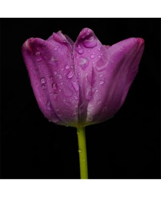 Sigma 28-45MM F1.8 DG DN ART Lens for L Mount