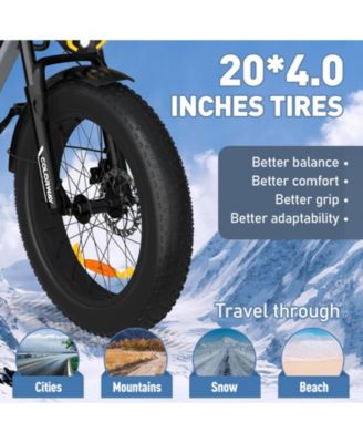 750W Electric Bike for Adults,20X4.0 Fat Tire Off-Road E bike,36V/12Ah Battery Snow Beach Mountain Bike for Outdoor Cycling e bike UL2849