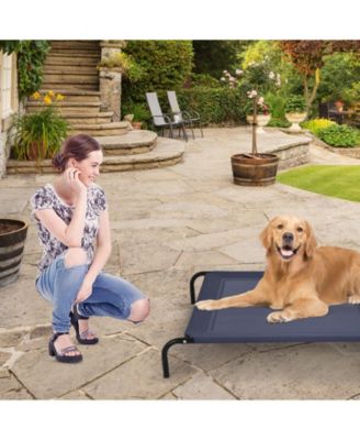 Elevated Pet Bed for Medium Large Dogs