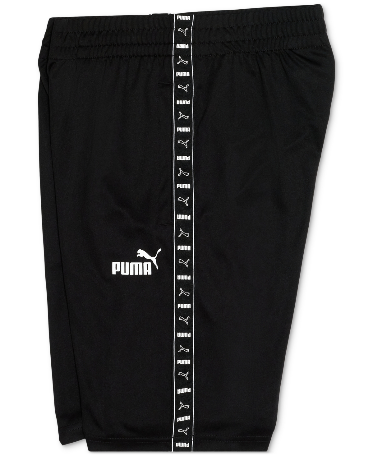 Puma Big Boys Logo Lab Shorts