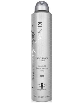 Heat Block Spray 22, 8oz