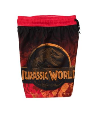 Boys Jurassic World Park Blue (Dinosaur) UPF 50+ Swim Trunks Bathing Suit