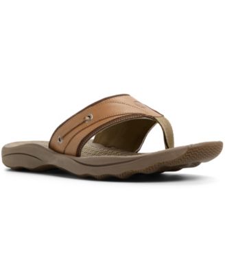 Sperry