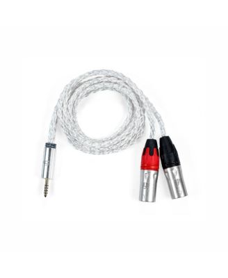iFi