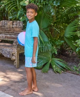 Big Boys Flamingo Printed Pull-On Swim Shorts	