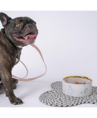 Marble Dog Bowl: Grey & Gold Accent