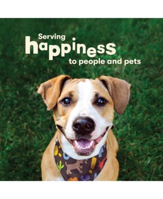 Chicken Hide Twists 6pk - 10in