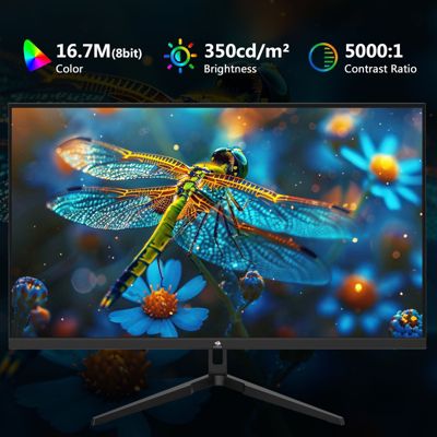 24.5 inch 1080P FHD 1920 x 1080 240Hz 1ms Flat Panel Gaming Monitor