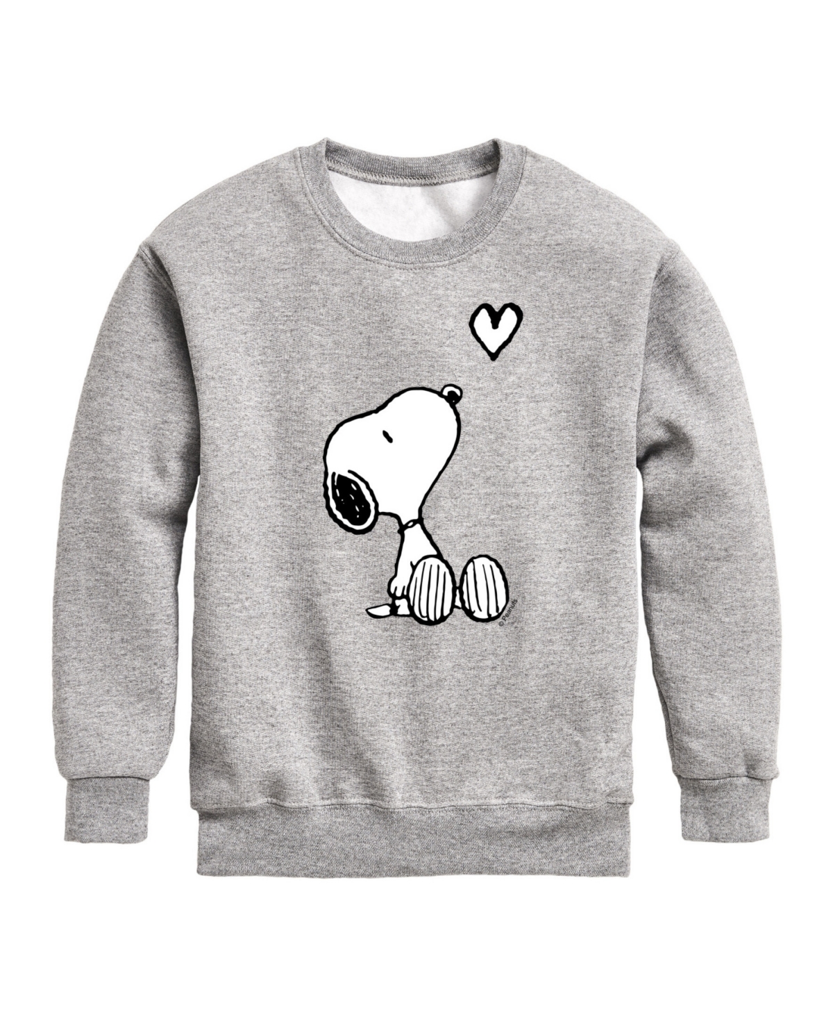 Hybrid Big Boys Peanuts Snoopy Heart Graphic Sweatshirt In Gray
