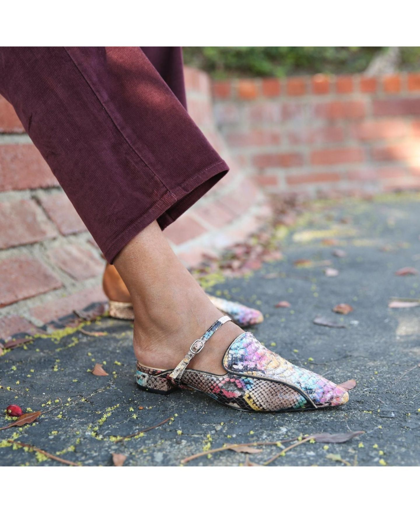 Женские сандалии Alterre Painted Snake Twiggy Customizable Pointed Loafer, цвет: Змеиный — фото 2