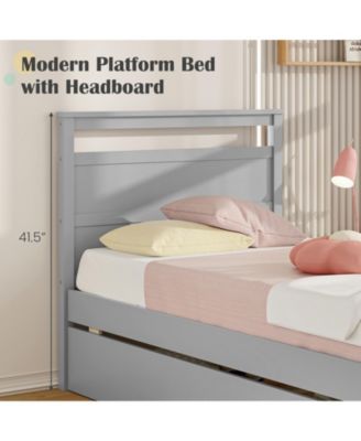 Twin Size Wooden Bed Frame with 2 Drawers for Teens and Adults
