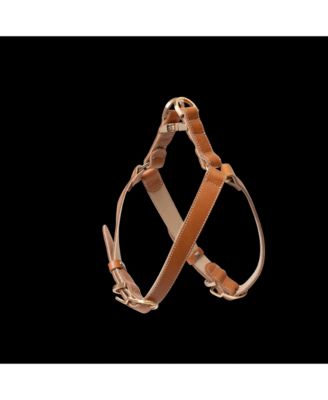 Roma Harness