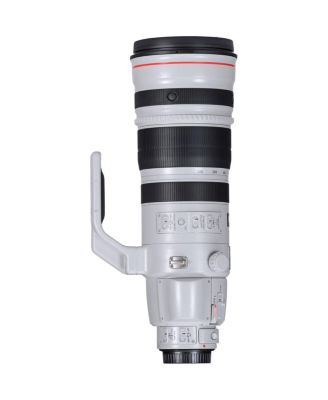 EF 200-400mm f/4L IS USM Extender 1.4x Lens